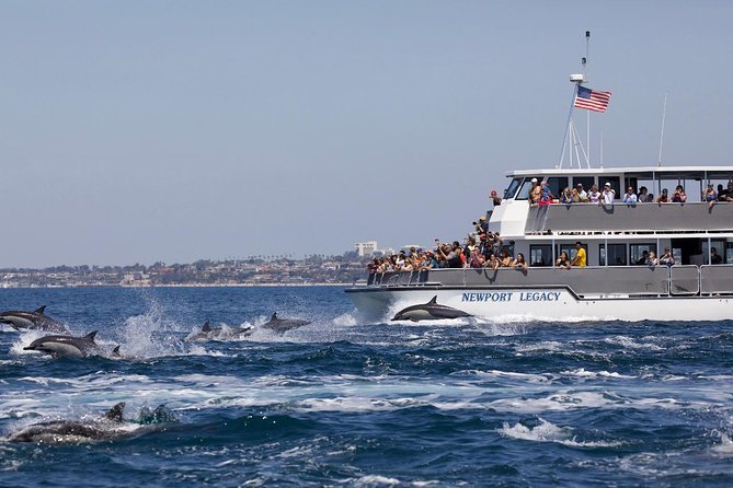 Newport Beach Whale and Dolphin Watching Cruise - Onboard Facilities and Services
