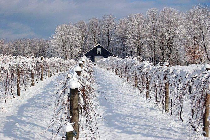 Niagara Wine Tour and Tastings With Included Transportation - Booking and Cancellation Policies