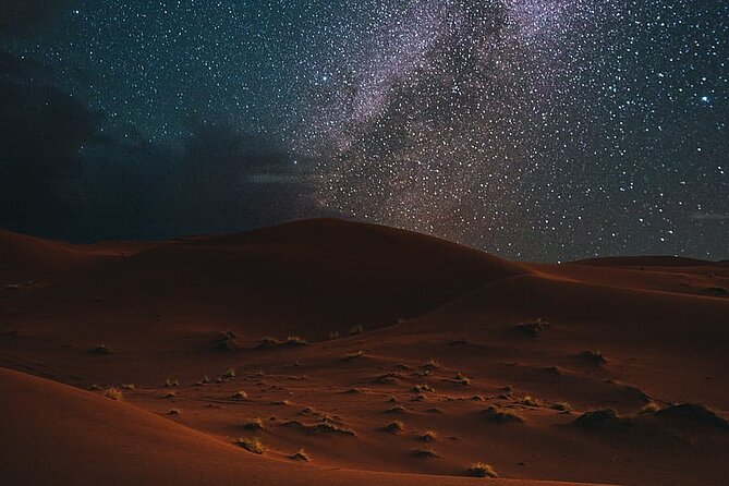 Night Desert Safari, Stargazing, Dune Driving & Inland Sea Visit - Guest Testimonials