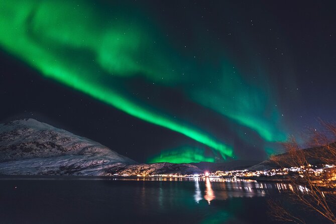 Northern Lights Boat Cruise From Reykjavik - Booking and Cancellation