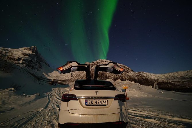 Northern Lights - Teslax Ecofriendly Car - Customer Experiences and Feedback Insights