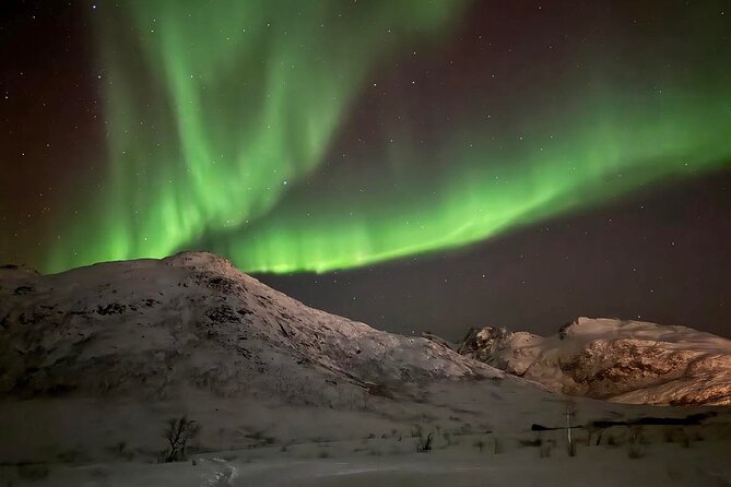 Northern Lights Tour With Hot Food and Drinks in Tromso - Bonfire Experience Included