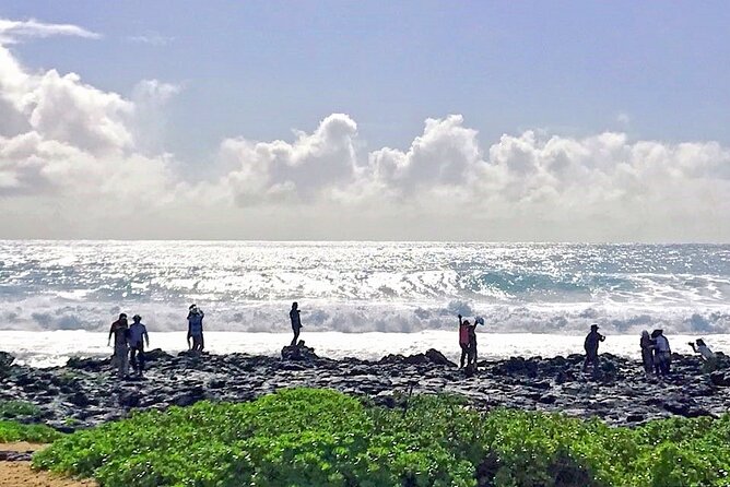 Oahu Island Sightseeing and Food Combo Tour - Notable Attractions Visited
