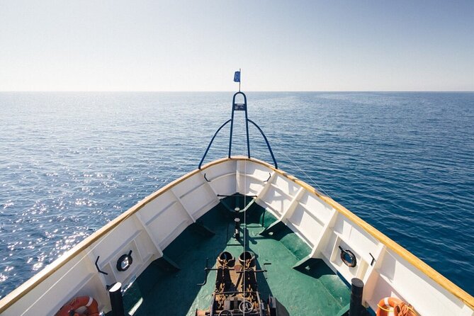 Odyssey Boat Safari From Larnaca - Nearby Attractions and Activities