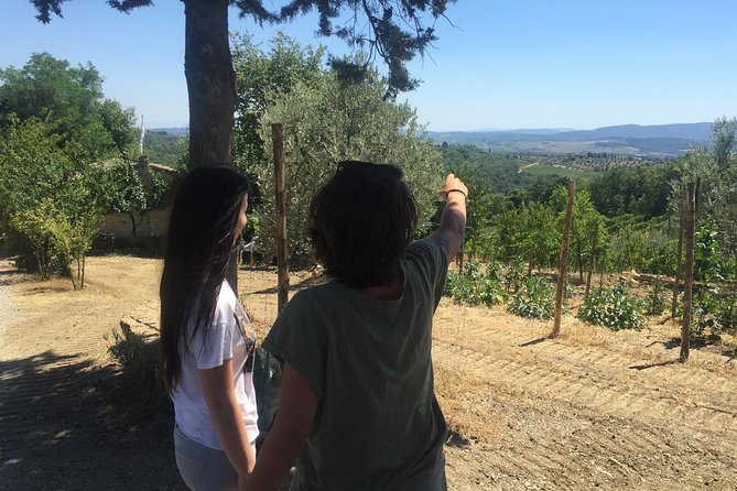 Off Road Wine Tour in Chianti From Florence - Stunning Scenery and Authentic Experiences