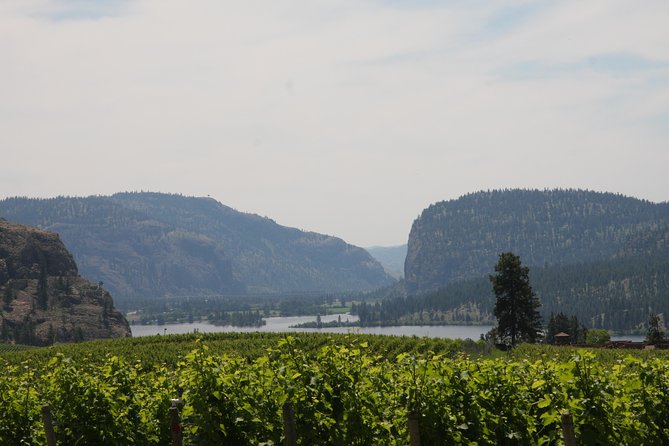 Okanagan Falls Private Wine Tour - Full Day - Tasting Experiences
