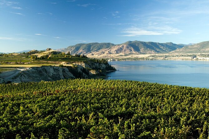 Okanagan Falls Wine Experience From Vernon - 4 Wineries - Charcuterie Picnic