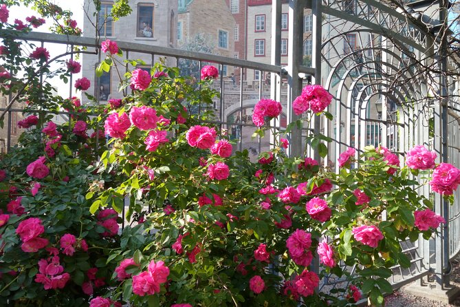 Old Quebec City Private Walking Tour: History and Nature - Booking Process