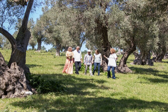 Olive Oil Tasting Under the Shades of Olive Trees / Crete - Cretan Culture Through the Olive Lens