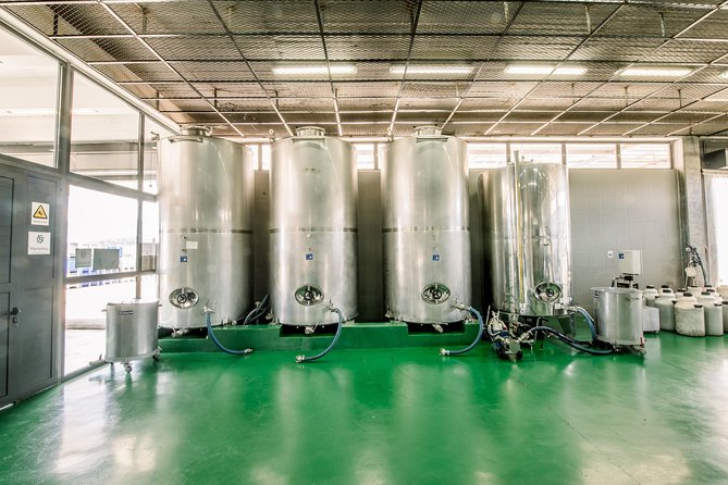 Olive Oil Tour & Tasting by Markellos Olive - Customer Reviews and Highlights