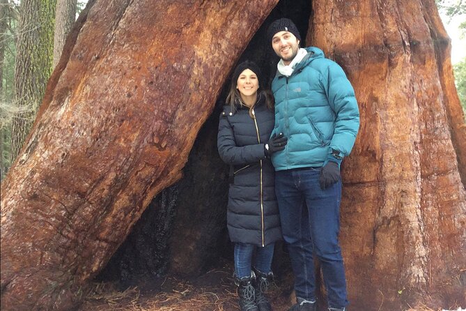 One Day In Yosemite Private Tour:Yosemite Valley, Glacier Point & Giant Sequoias - Itinerary Highlights