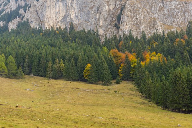 One Day Tour to Bran Castle and Hiking in Piatra Craiului National Park - Traveler Experiences and Photos