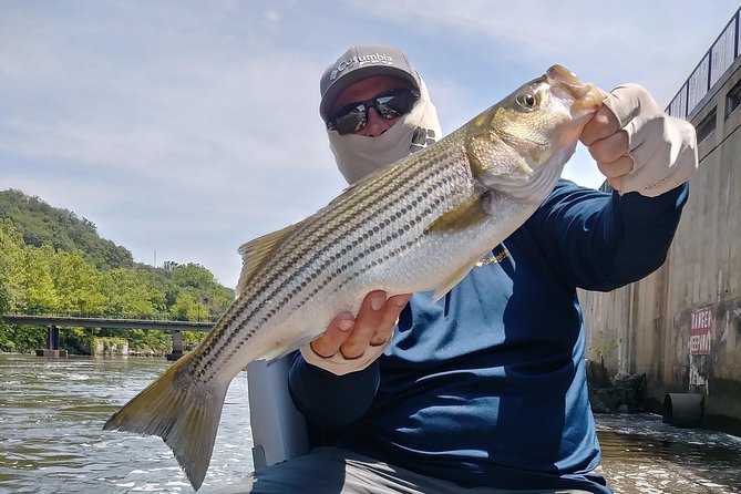 Osprey Fishing Charters: Potomac River Fishing - Health and Safety Considerations