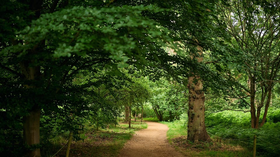 Oxford: Harcourt Arboretum Entry Ticket - Getting to the Arboretum