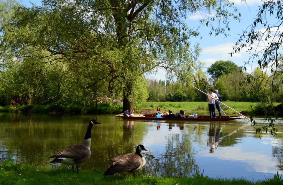 Oxford: Official University and City Walking Tour - Accessibility Features