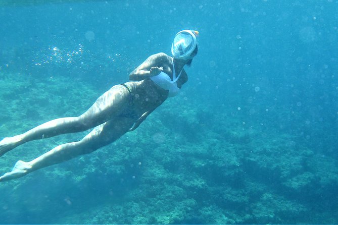 Paddle Surf and Snorkel in Ibiza - Booking and Confirmation