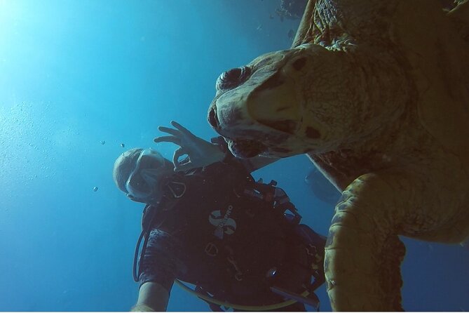 PADI Advanced Diving Course in Hurghada - Learn Scuba Diving - Dive Adventure Options