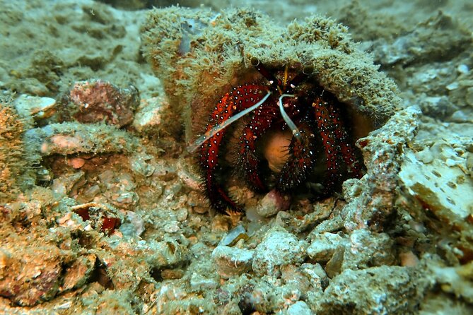 PADI Discover Scuba 2 Times Diving Phuket - Cancellation Policy Explained
