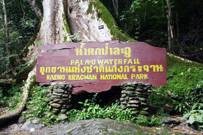 Pala U Waterfall in Kaeng Krachan Jungle With Private Guide From Hua Hin - Pricing and Booking Details