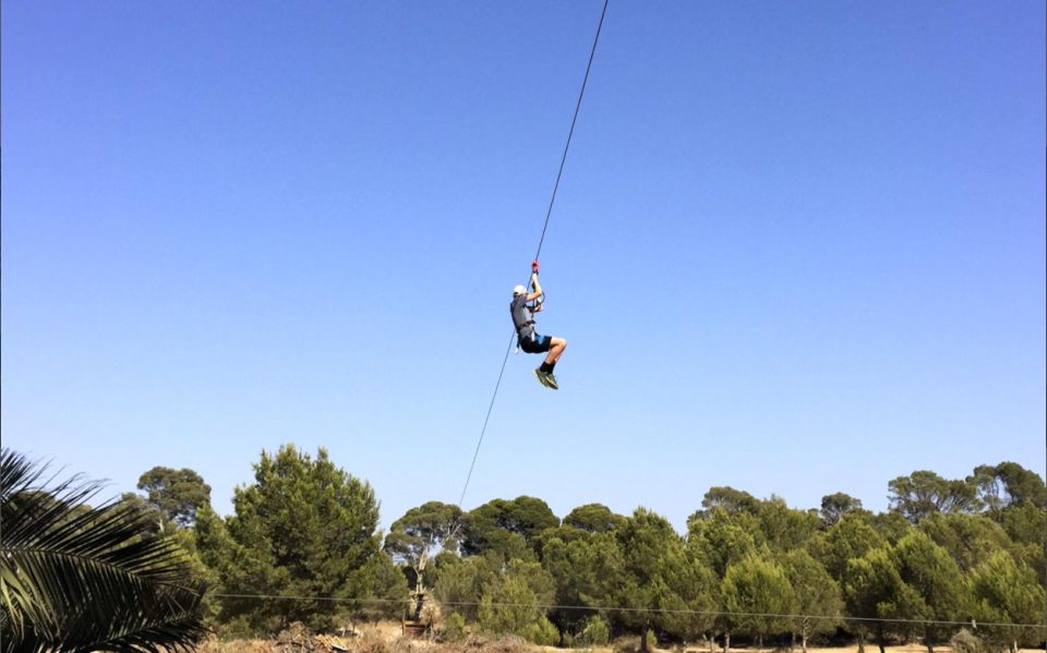 Palma: Family or Sports Course Adventure at Forestal Park - Activity Highlights