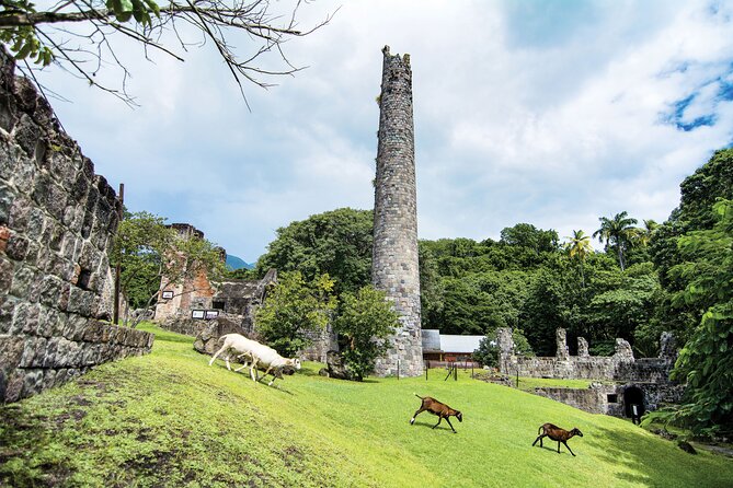 Panoramic Sightseeing Tour of St Kitts - Island History and Local Culture