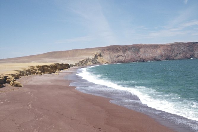 Paracas Full Day: Islas Ballestas, National Park and Sandboarding in Paracas - Thrilling Sandboarding and Dune Buggy