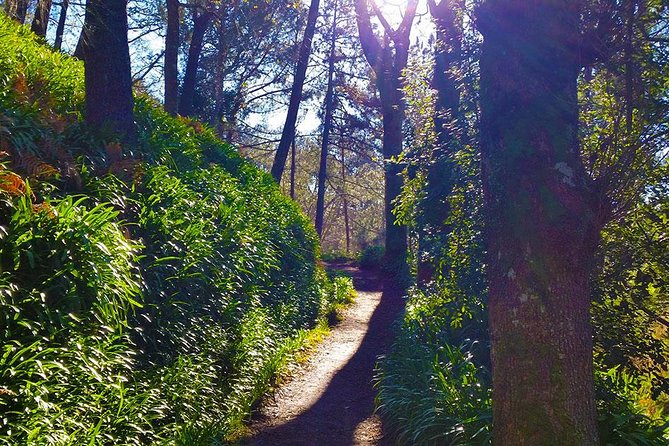 Paradise Valley - Levada Walk - Preparing for the Tour