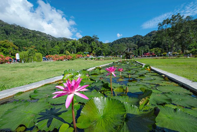 Penang Hill(FastLane),Ferringhi Beach,Botanic Garden & Kek Lok Si - Tour Inclusions and Pricing