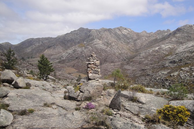 Peneda-Gerês National Park - Nature & Tastings - - Local Cuisine and Wine Tastings