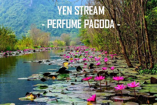 Perfume Pagoda Full Day Private Tour - Accessibility Information