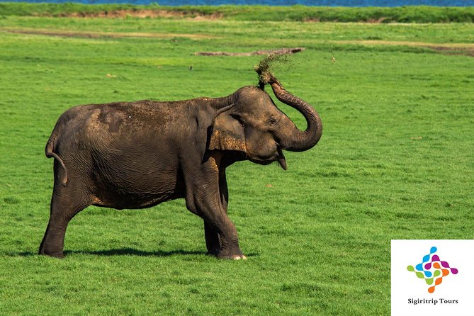 Personal Driver For Your Two Weeks Round Tour In Sri Lanka - Booking Process Explained