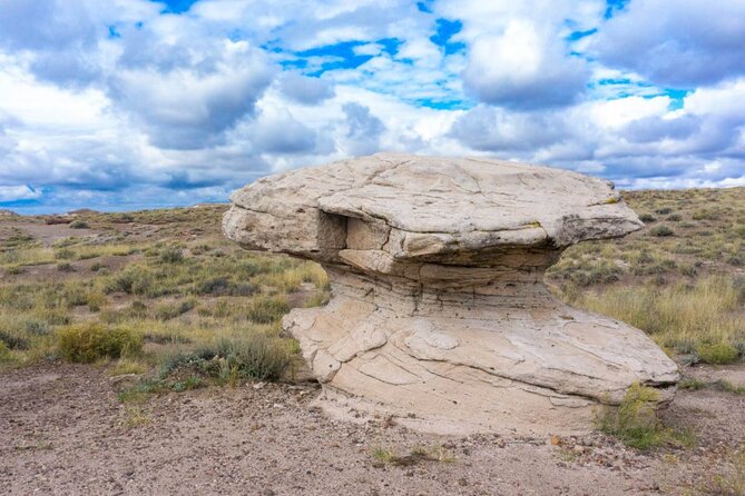 Petrified Forest National Park Self-Guided Driving Audio Tour - Immersive Storytelling