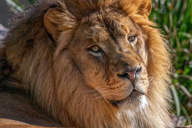 Phoenix Zoo Admission Ticket - Location and Contact Details
