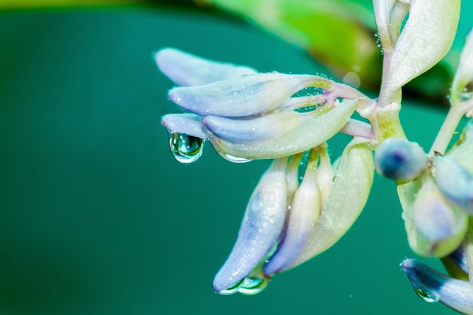 Photography Tour at Natura Eco Park - Logistical Details