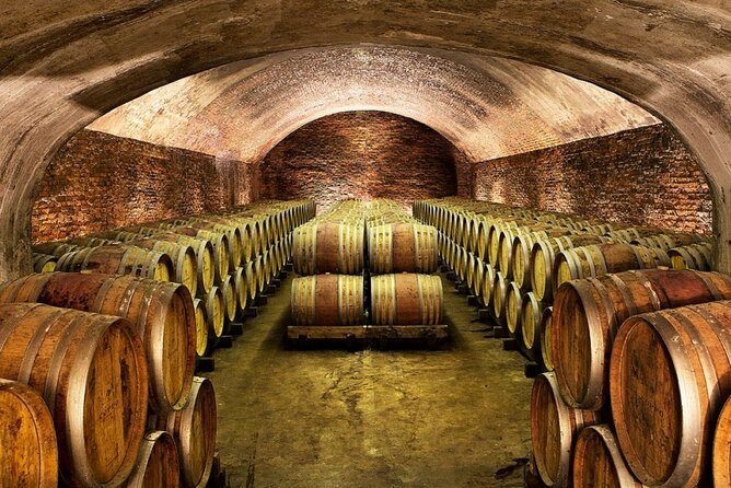 Piemonte Vineyards by Yourself From Turin by Luxury Van With English Chauffeur - Traveler Reviews