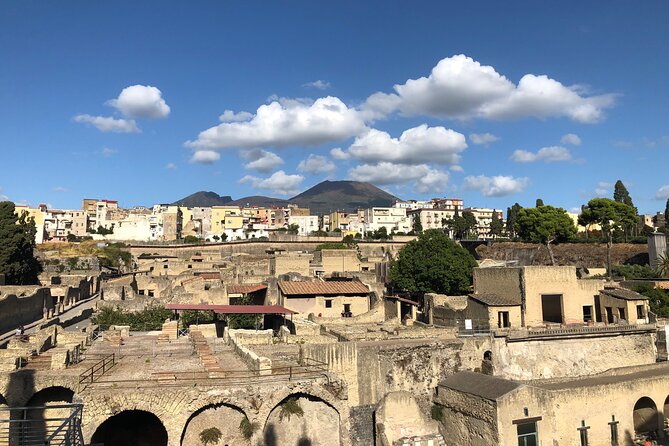 Pompeii and Herculaneum Private Tour With Pick up and Wine Tasting - Convenient Pickup and Transfers