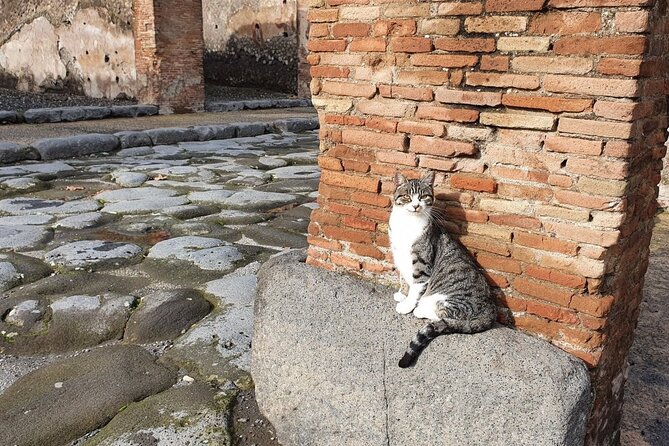 Pompeii the Ancient City (Tour+Transfer) - Recommended Items for Visitors
