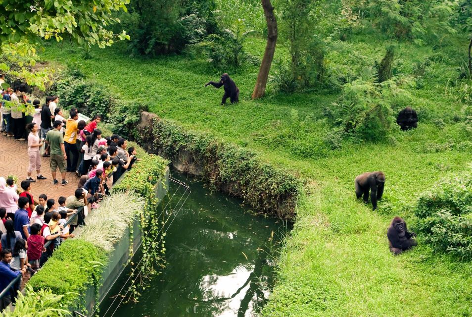 Prague Zoo Skip-the-line Tickets and Private Transfers - Zoo Highlights