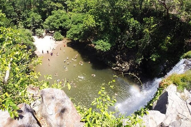 Premium Tour:Sloths and Río Celeste Y Cortez Waterfalls (Tenorio Volcano Park) - Price and Guarantee