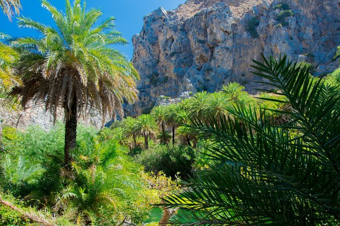 Preveli Palm Beach Boat Cruise & Rethymnon Town From Heraklion - Stunning Views at Preveli