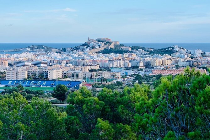 Private 4-Hour Walking Tour of Ibiza With Official Tour Guide - Exploring the Islands History