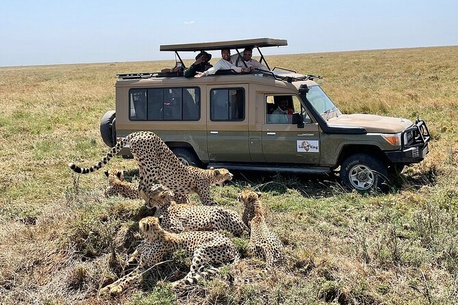 Private 6-Day Tarangire Manyara Crater and Serengeti With Mid-Range Lodges - Tips for Your Safari