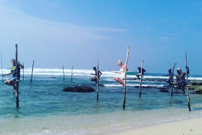 Private 8 Day Tour in Sri Lanka - Customer Reviews