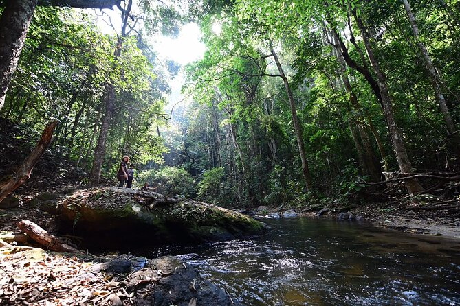 Private All-Inclusive Doi Inthanon & Pha Dok Siew Waterfall Tour - Pricing and Inclusions