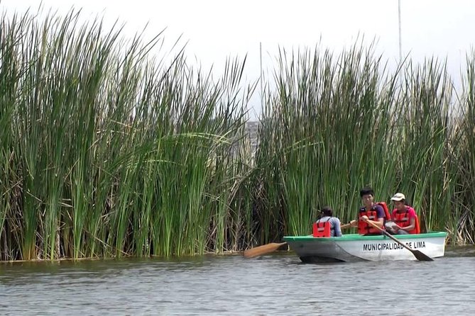 Private and Exclusive Nature and Trek in Chorrillos - Additional Notes and Considerations