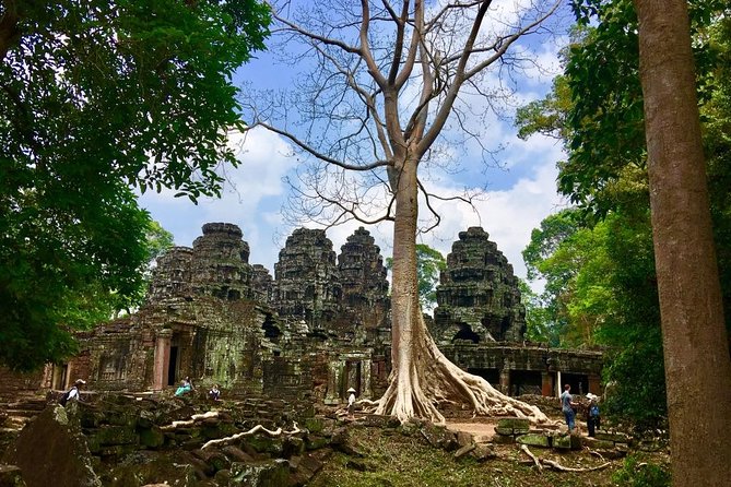 Private Angkor Wat Sunrise, Ta Promh, Banteay Srei, Bayon Tour - Why Choose a Private Tour
