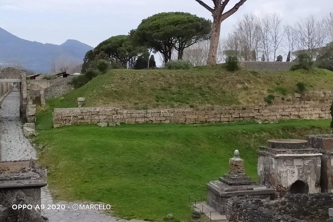 Private Archaeologist Service to Explore Pompeiis Secrets Any Time Ticket Incl. - Advance Ticket Booking