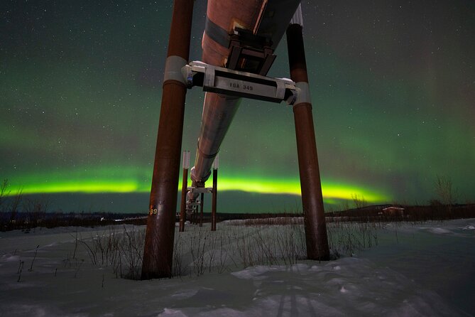 Private Arctic Circle Expedition From Fairbanks - Customer Experiences