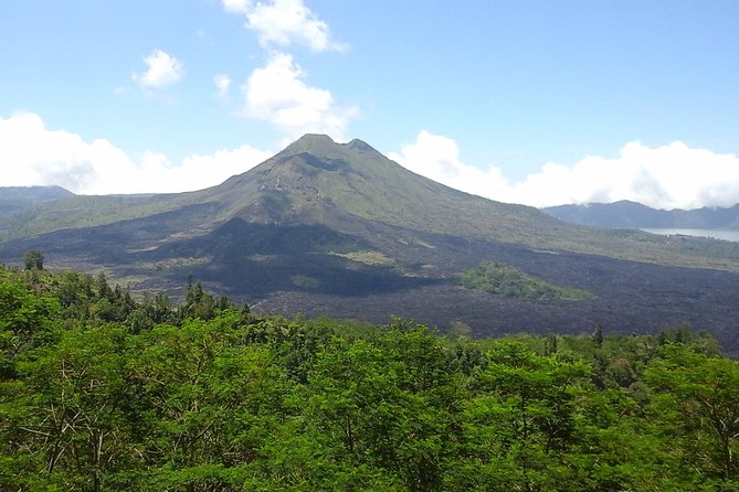 Private Bali Countryside Tour Guided by AGUS - Traveler Reviews