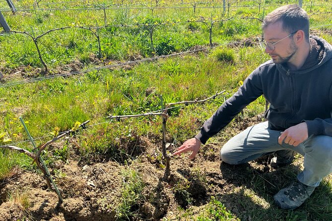 Private Beaujolais Wine Tour - Exploring Smaller Wine Makers